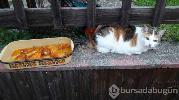 Günün en çok paylaşılan fotoğrafları