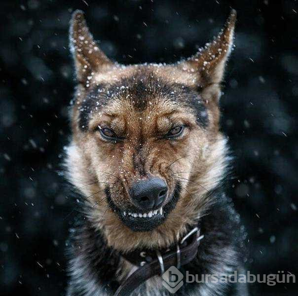 Günün en çok paylaşılan fotoğrafları