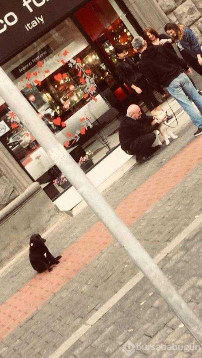 Günün en çok paylaşılan fotoğrafları
