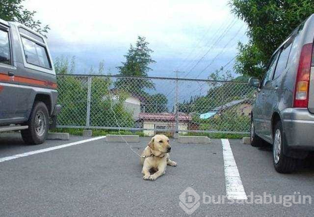 Günün en çok paylaşılan fotoğrafları