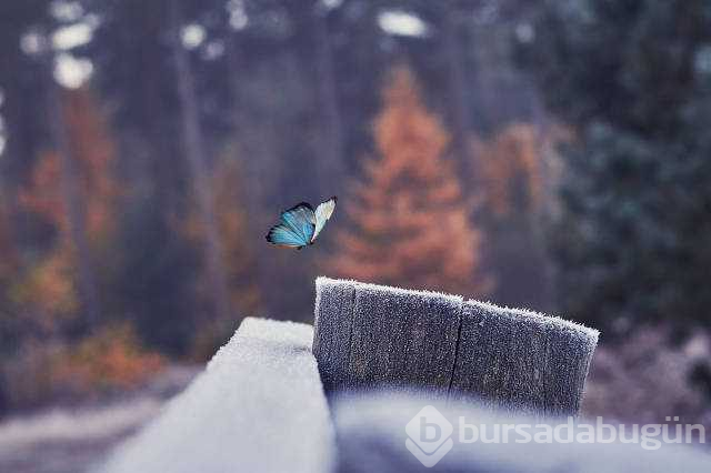 Günün en çok paylaşılan fotoğrafları