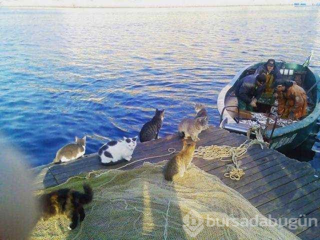 Günün en çok paylaşılan fotoğrafları