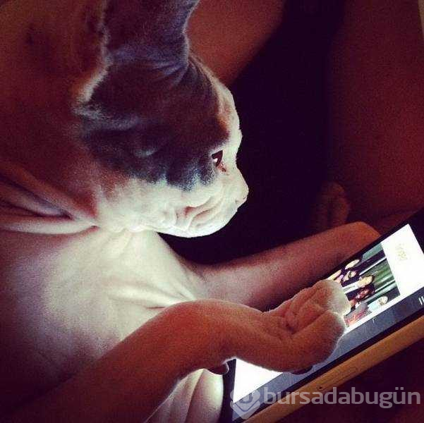Günün en çok paylaşılan fotoğrafları