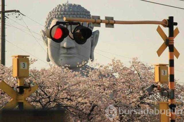 Günün en çok paylaşılan fotoğrafları