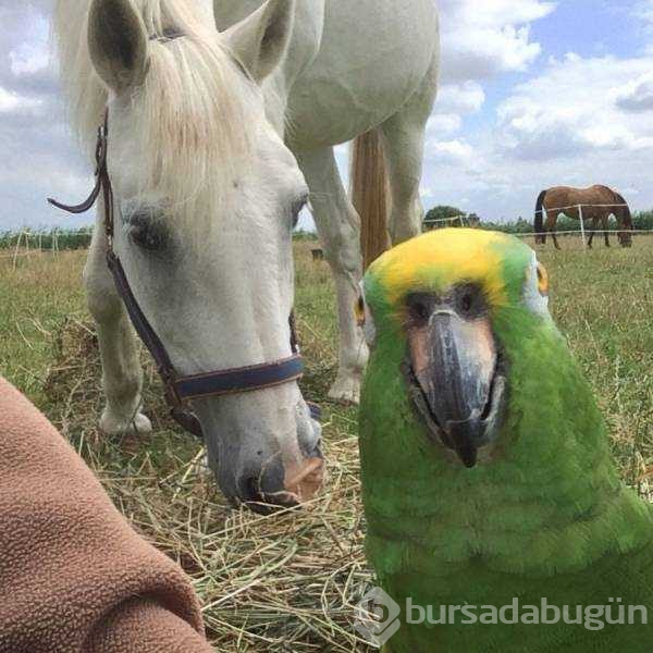 Günün en çok paylaşılan fotoğrafları
