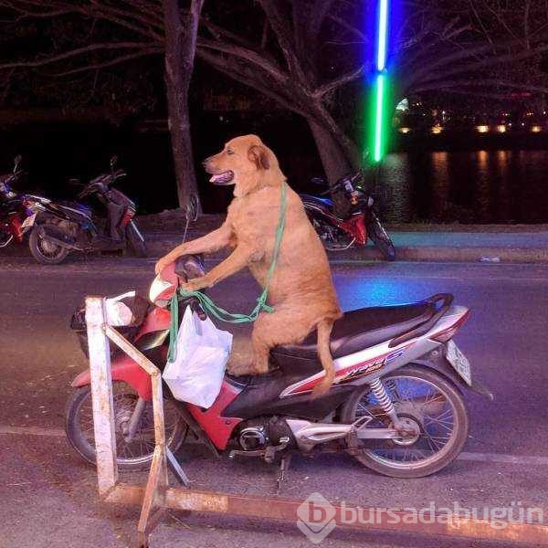 Günün en çok paylaşılan fotoğrafları