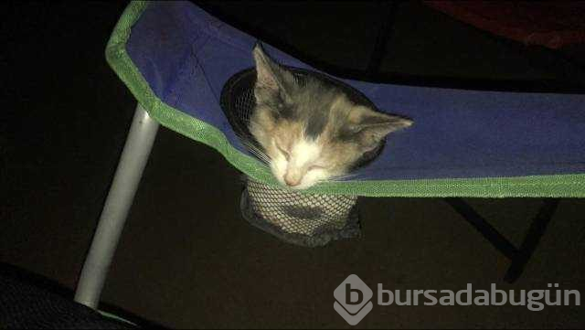 Günün en çok paylaşılan fotoğrafları