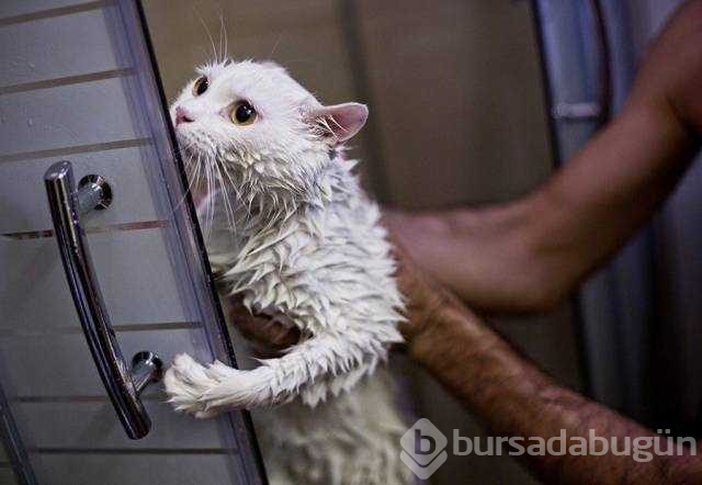 Günün en çok paylaşılan fotoğrafları