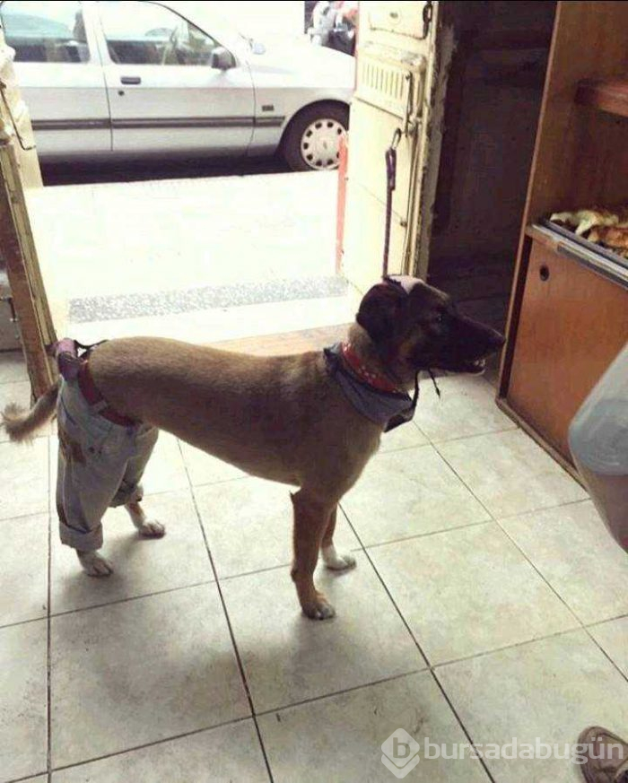 Günün en çok paylaşılan fotoğrafları