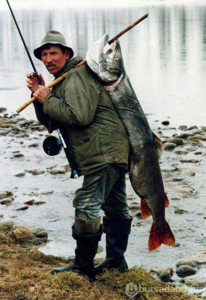 Рыбалка уловы большие