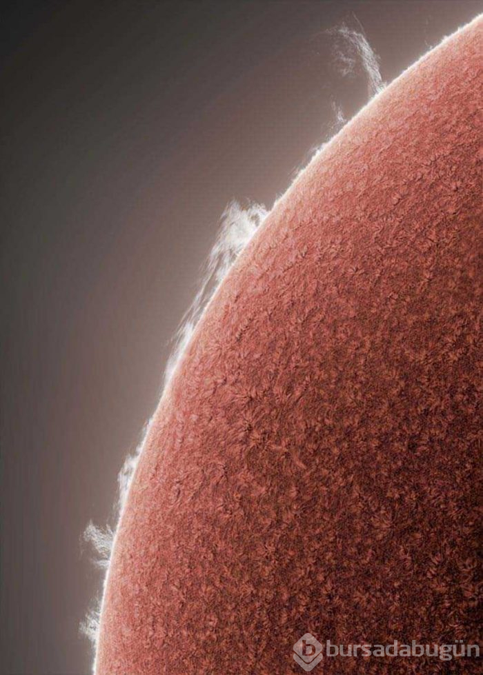 İşte 2019'un en iyi astronomi fotoğrafçıları!