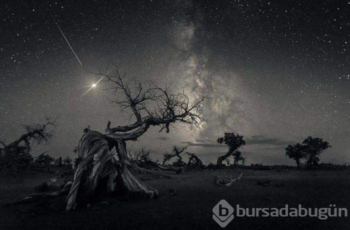 İşte 2019'un en iyi astronomi fotoğrafçıları!