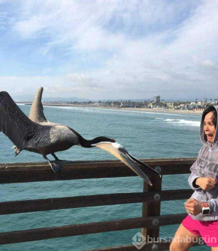 Günün en çok paylaşılan fotoğrafları