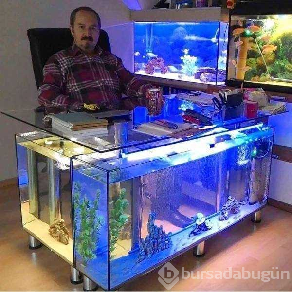 Günün en çok paylaşılan fotoğrafları
