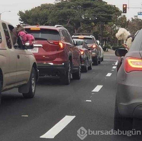 Günün en çok paylaşılan fotoğrafları
