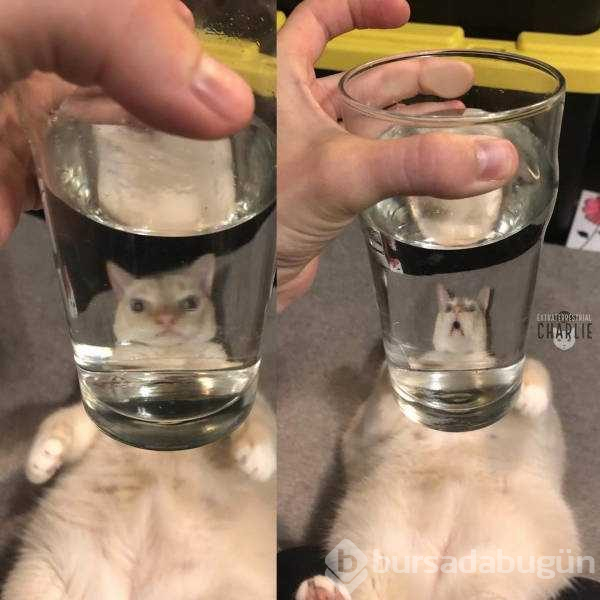Günün en çok paylaşılan fotoğrafları
