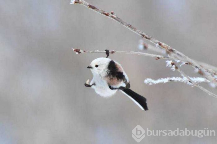 Günün en çok paylaşılan fotoğrafları
