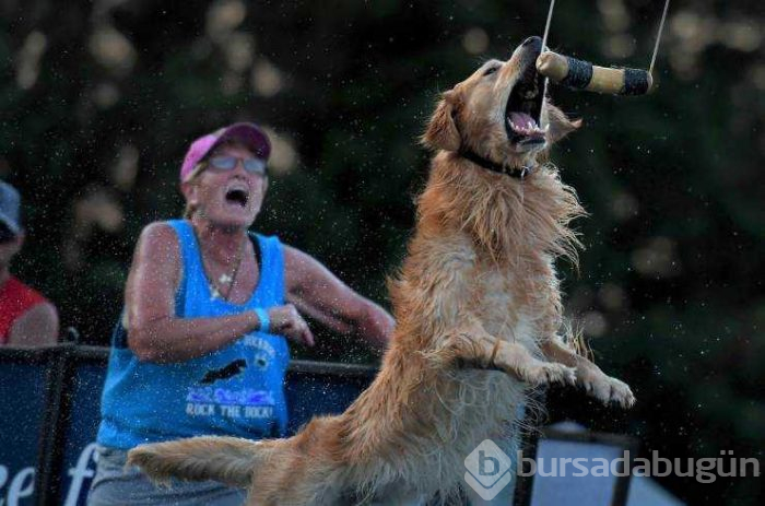 Günün en çok paylaşılan fotoğrafları