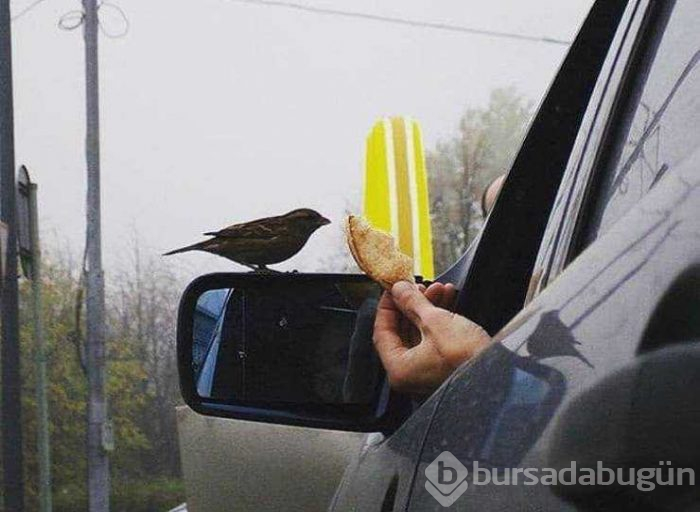 Günün en çok paylaşılan fotoğrafları