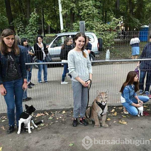 Günün en çok paylaşılan fotoğrafları
