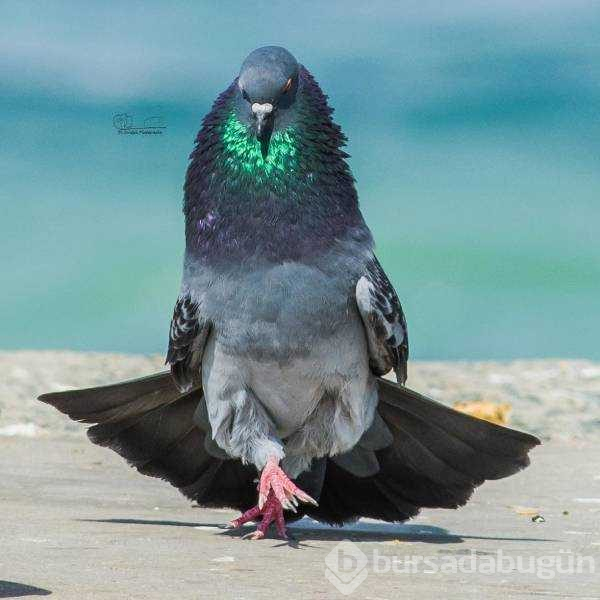 Günün en çok paylaşılan fotoğrafları