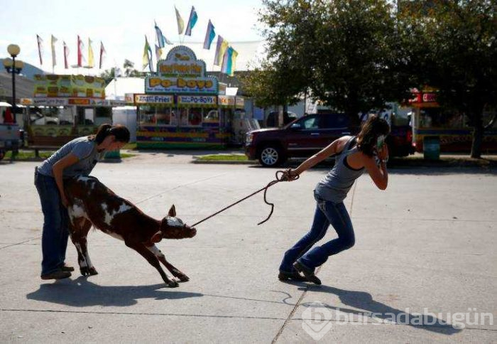 Günün en çok paylaşılan fotoğrafları