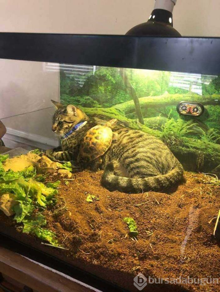 Günün en çok paylaşılan fotoğrafları