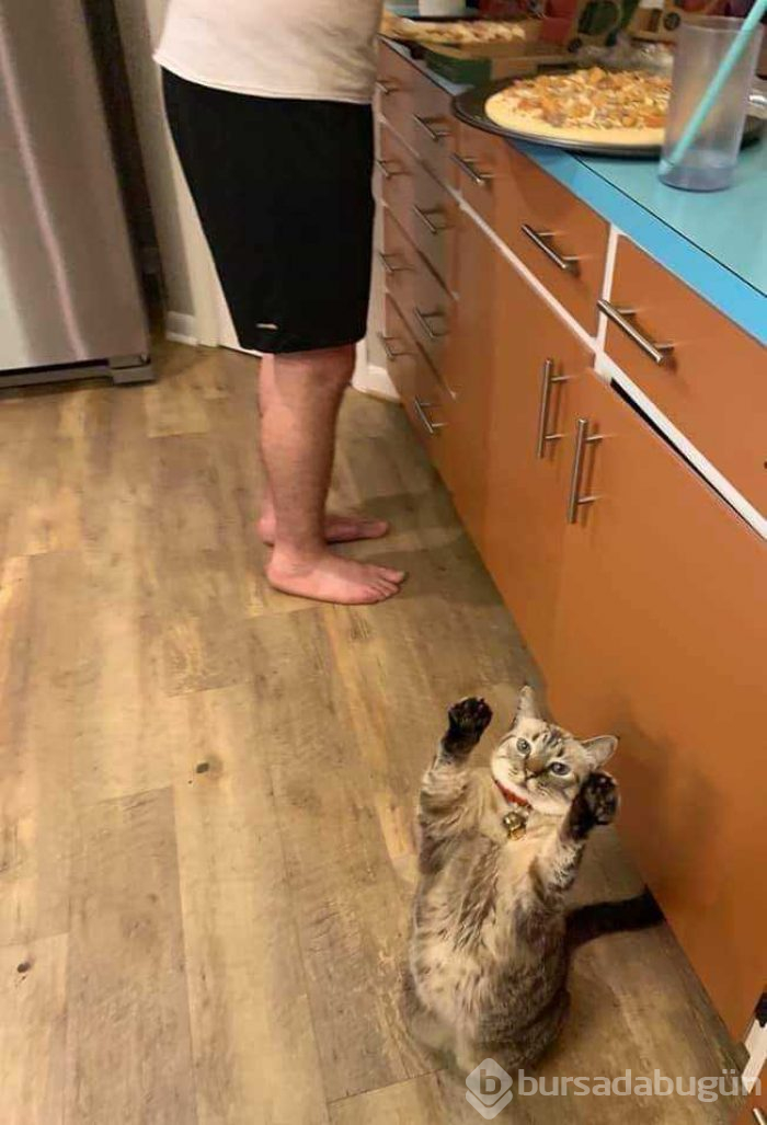 Günün en çok paylaşılan fotoğrafları