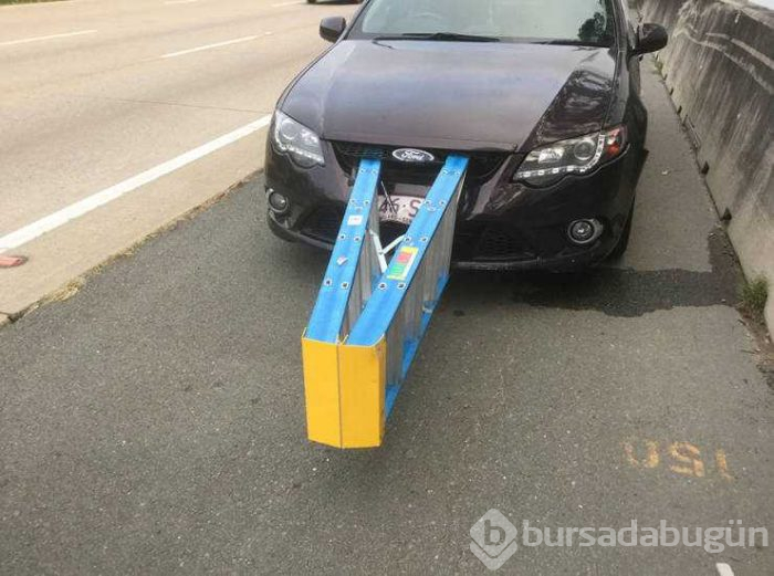 Günün en çok paylaşılan fotoğrafları