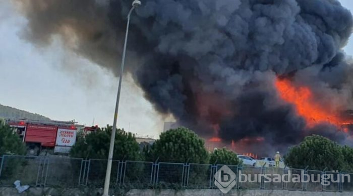 Tuzla Organize Sanayi Bölgesi'nde korkutan yangın!