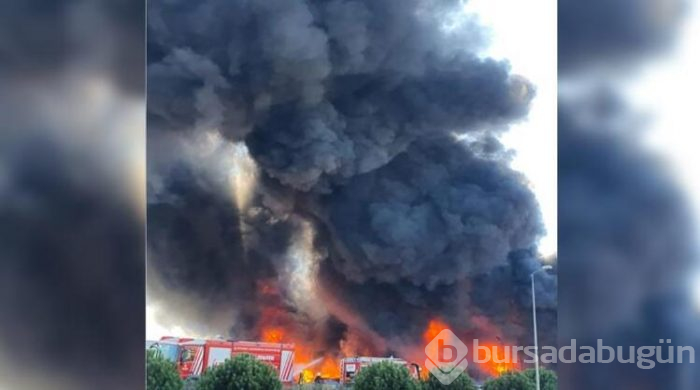 Tuzla Organize Sanayi Bölgesi'nde korkutan yangın!