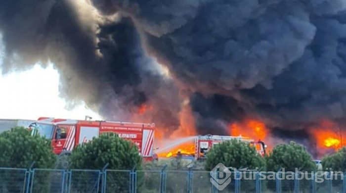 Tuzla Organize Sanayi Bölgesi'nde korkutan yangın!