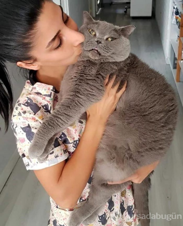 Obez kedi 4,5 kilo verdi