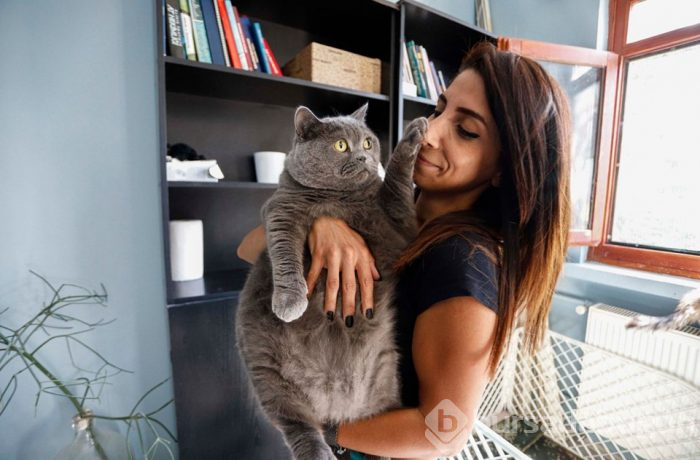 Obez kedi 4,5 kilo verdi