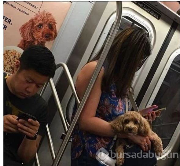 Metroda ikizinizle karşılaşsanız ne yapardınız?
