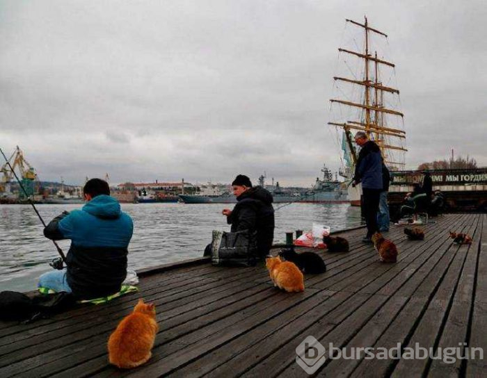 Günün en çok paylaşılan fotoğrafları