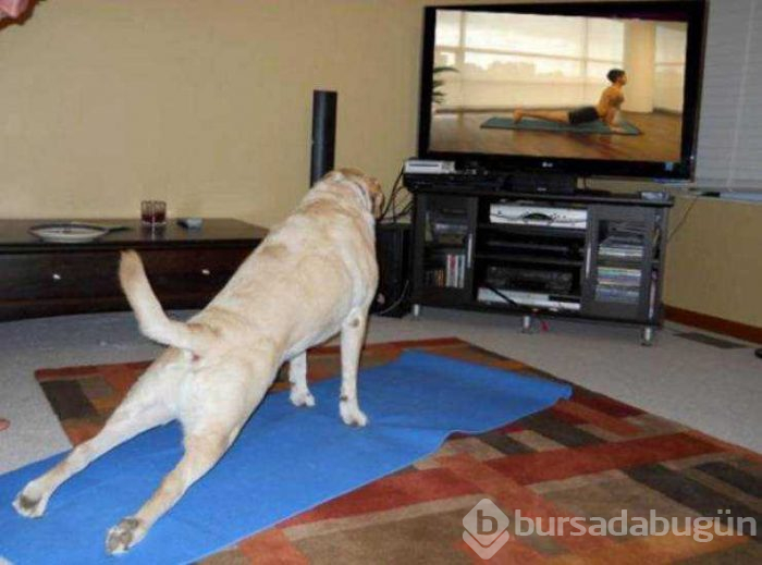 Günün en çok paylaşılan fotoğrafları