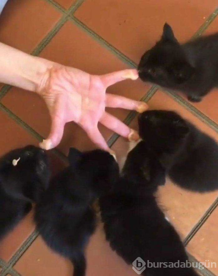 Günün en çok paylaşılan fotoğrafları