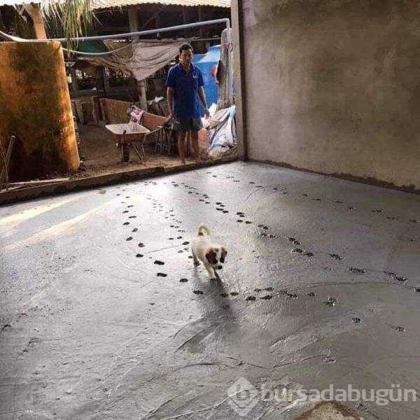 Günün en çok paylaşılan fotoğrafları