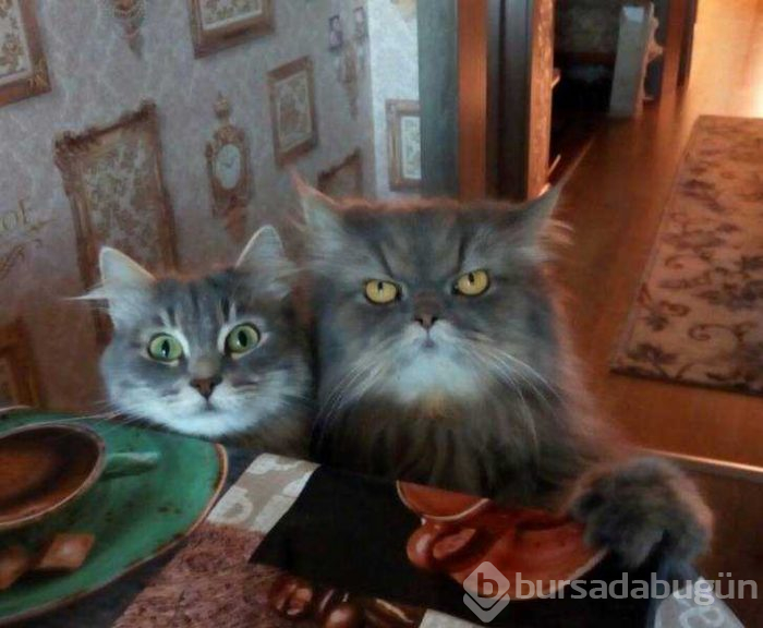 Günün en çok paylaşılan fotoğrafları