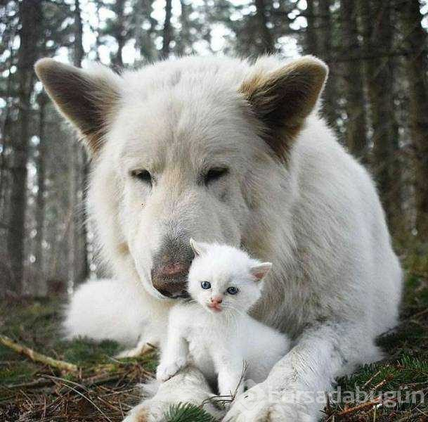 Günün en çok paylaşılan fotoğrafları