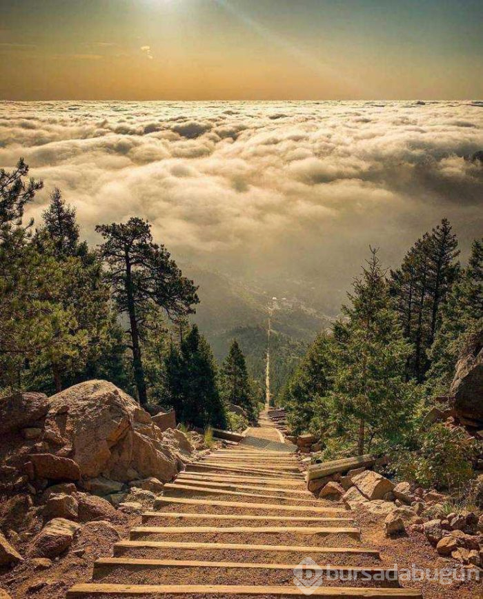 Günün en çok paylaşılan fotoğrafları