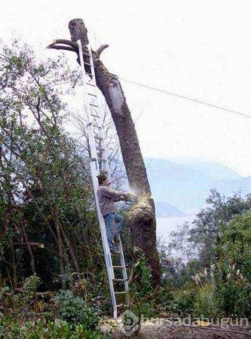 Dünyanın en umursamaz insanları