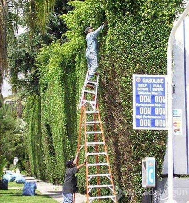 Dünyanın en umursamaz insanları