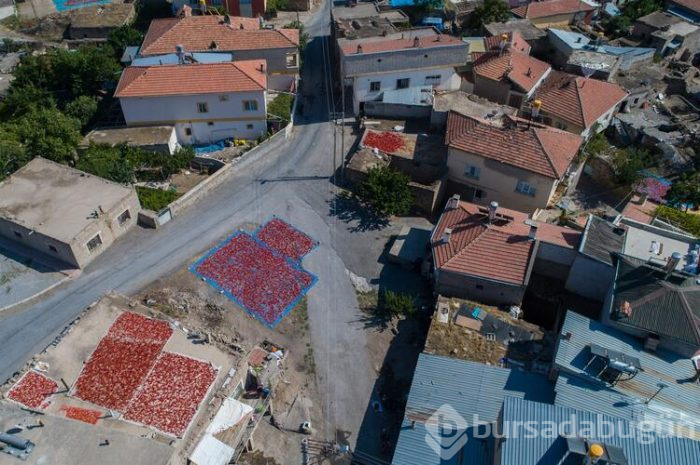 Biberler gökyüzünden bile gözüküyor 