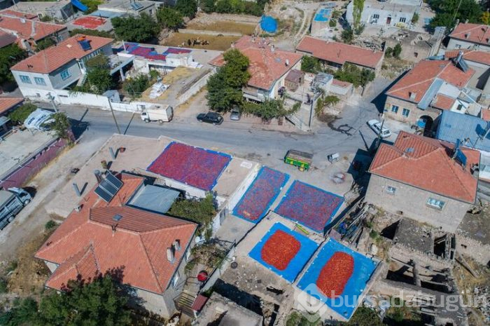 Biberler gökyüzünden bile gözüküyor 