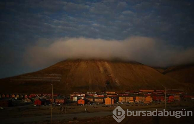 Svalbard'ta küresel ısınmadan değişen hayatlar