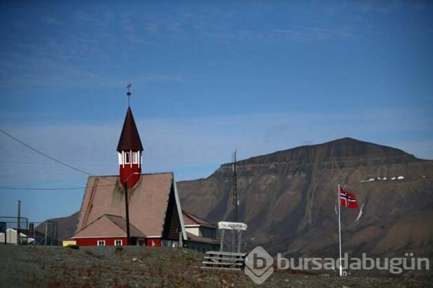 Svalbard'ta küresel ısınmadan değişen hayatlar