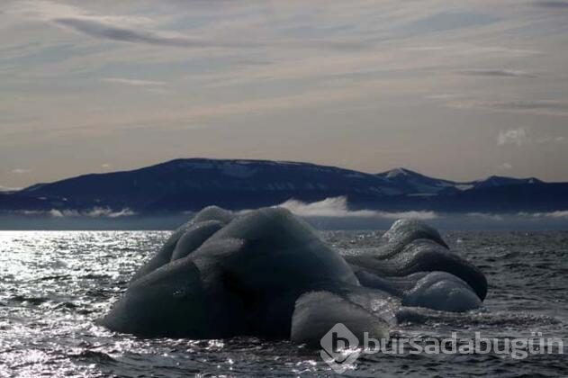 Svalbard'ta küresel ısınmadan değişen hayatlar