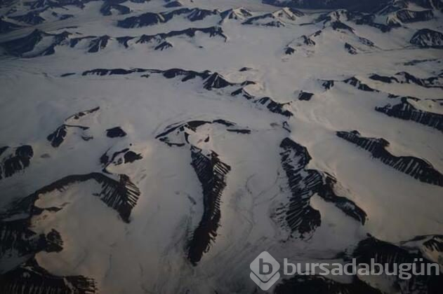 Svalbard'ta küresel ısınmadan değişen hayatlar